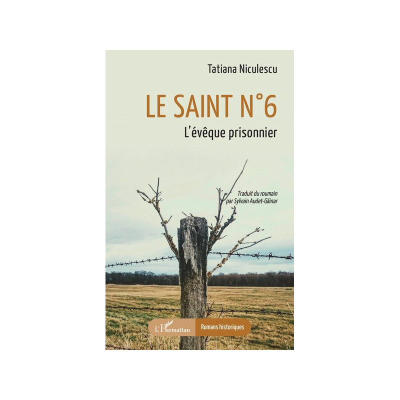 Le Saint n°6, l'évêque prisonnier, Tatiana Niculescu, l'Harmattan