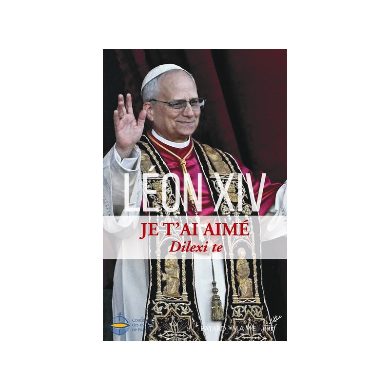 Je t'ai aimé, Dilexi te, Pape Léon XIV, Bayard-Mame-Cerf