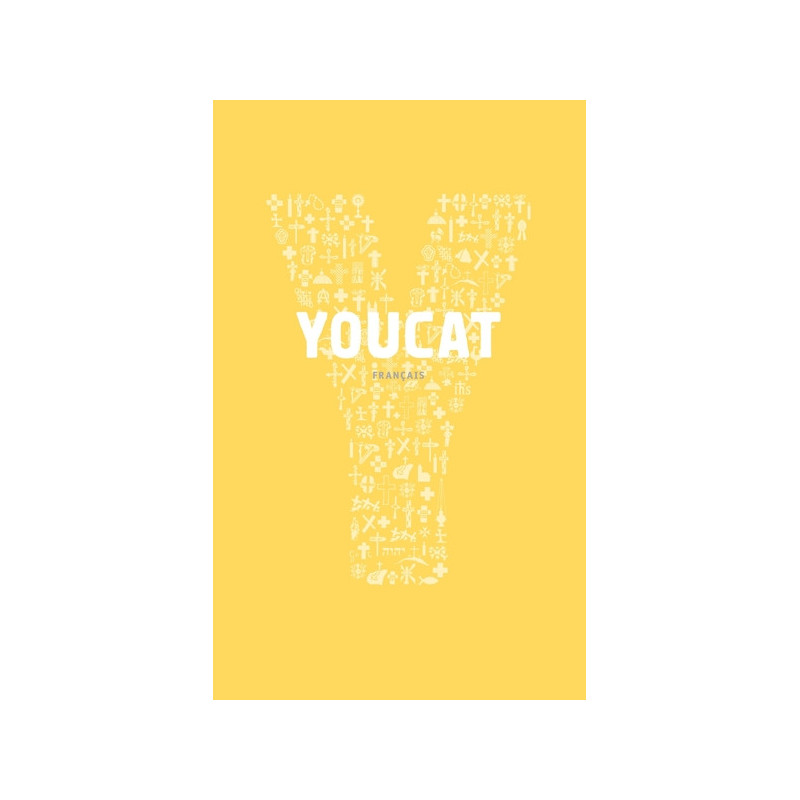 Youcat, catéchisme de l'Eglise Catholique pour les jeunes, Cerf