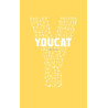 Youcat, catéchisme de l'Eglise Catholique pour les jeunes, Cerf